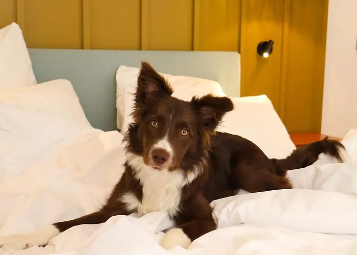 Maison Durante Hotel 4*