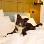 Maison Durante Hotel 4*