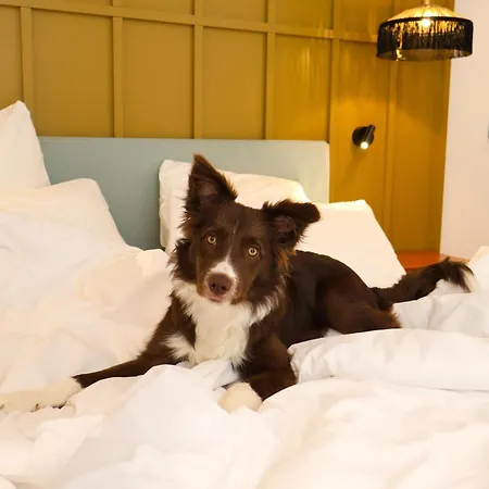 Maison Durante Hotel 4*